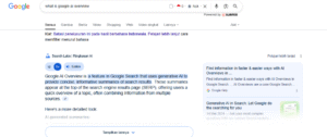 contoh Google AI overview