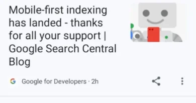contoh google discover