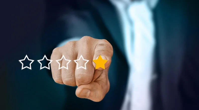 review bintang 1 secara tidak natural termasuk negative seo