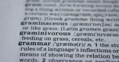 cara menambah vocabulary bisa lewat membaca kamus