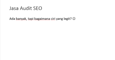 jasa seo audit